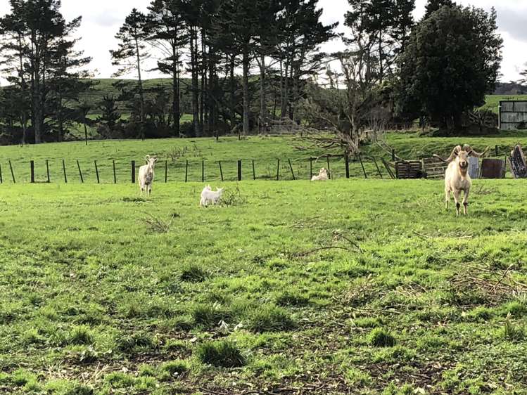 665 Newall Road Newall_2