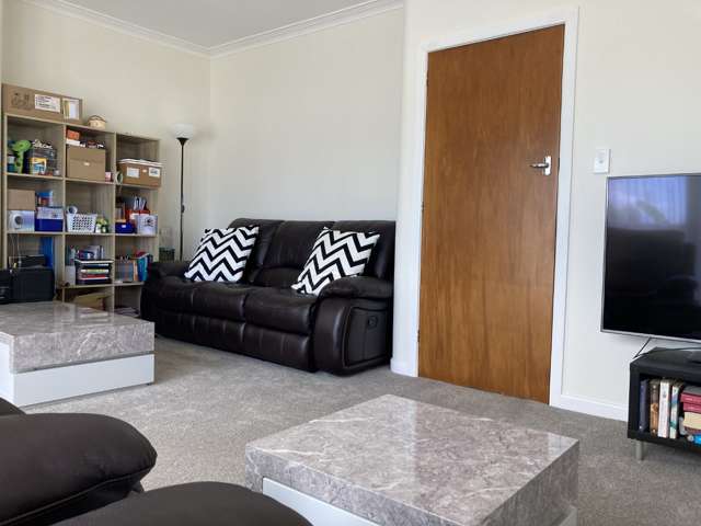 75 Mount Smart Road Onehunga_4