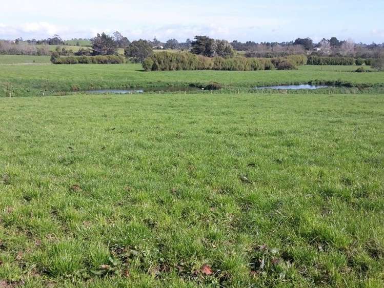 346 Rugby Road Tariki_37