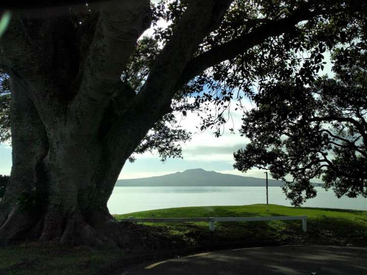 1/1 Rata Road Devonport_13