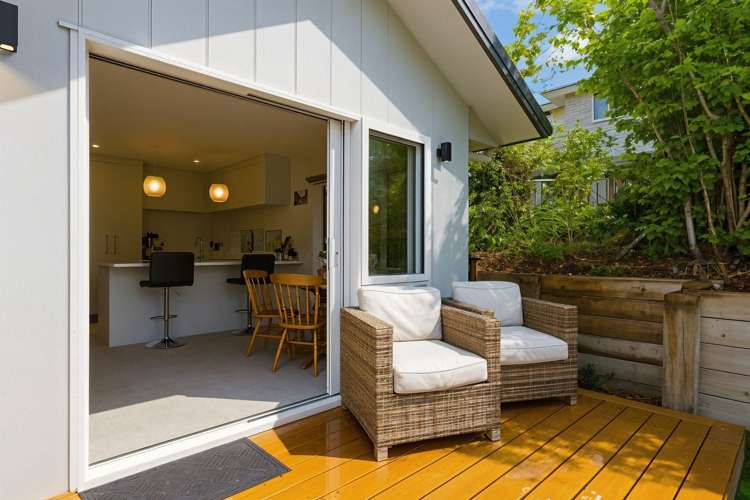 20A Argyle Avenue Levin_1