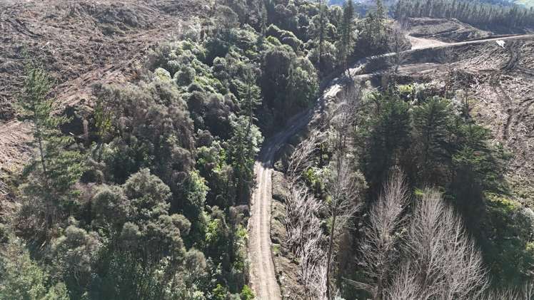 Waireka Road Papaiti_7