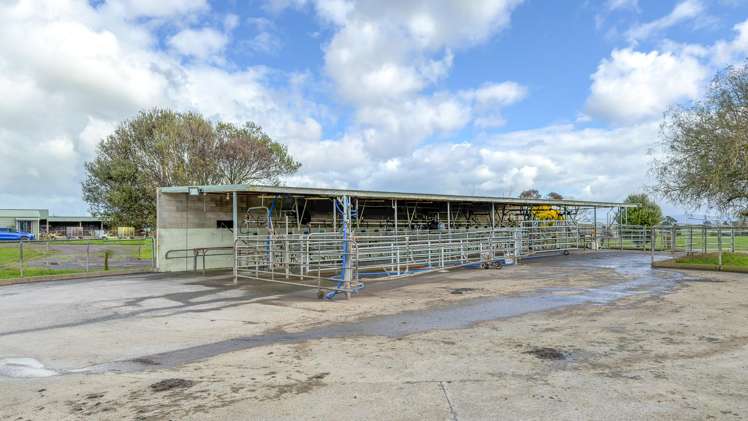 6379 State Highway 26, Tirohia Paeroa_5