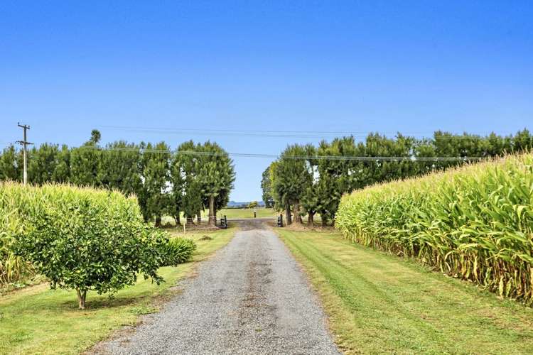 164 Otakiri Road Edgecumbe_11