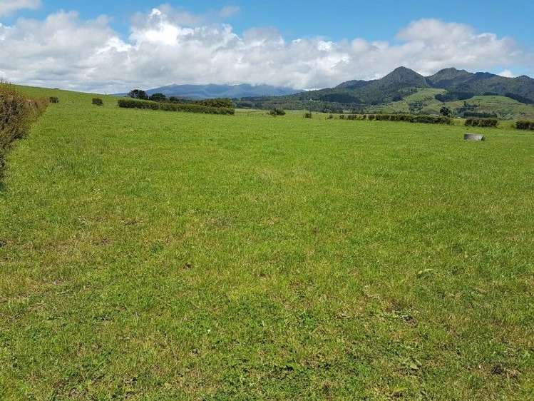 80 Koru Road Omata_37