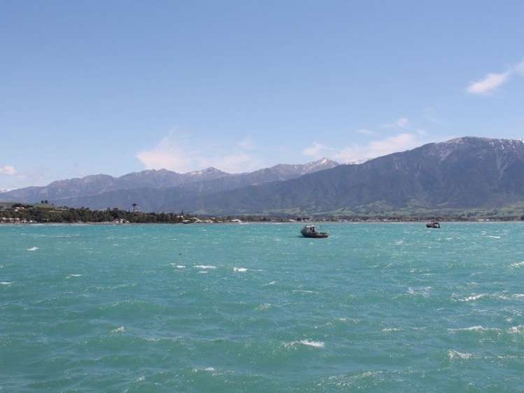 172 Esplanade Kaikoura_16