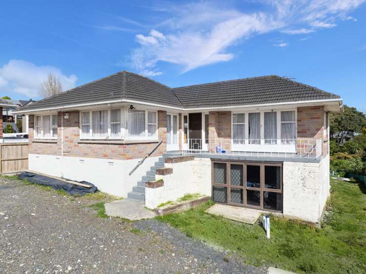 99 Tiverton Road Avondale_7