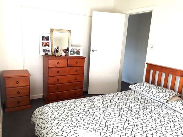 111B Hamilton Road Hataitai_2