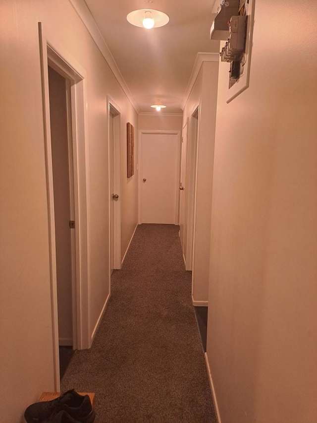 Spacious Family Home in Tokoroa