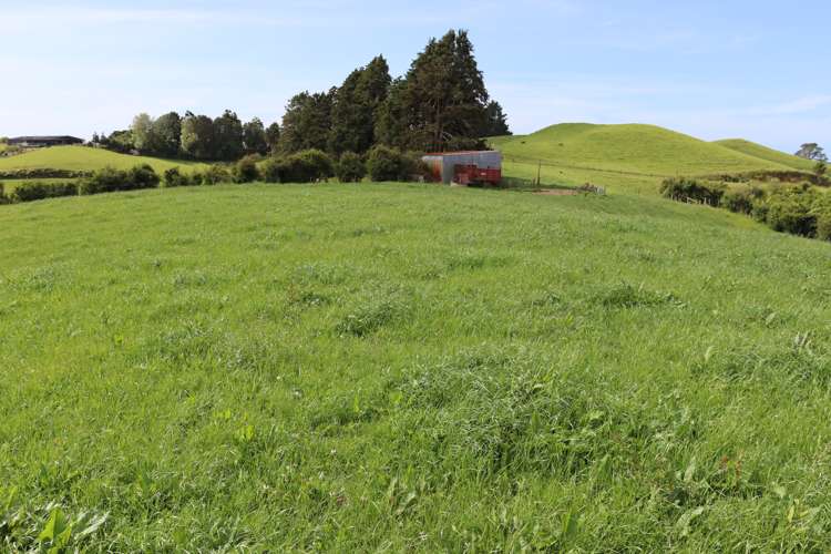 346 Lincoln Road Inglewood_11