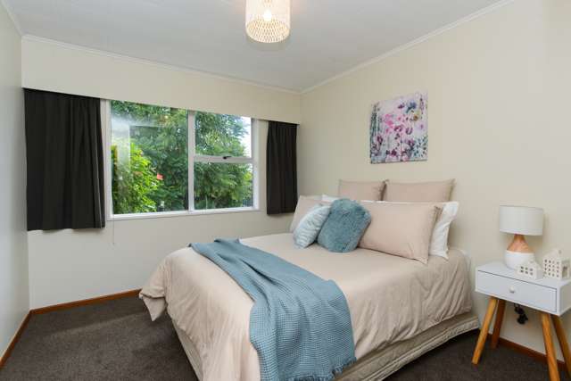 27 Southwark Avenue Tamatea_4