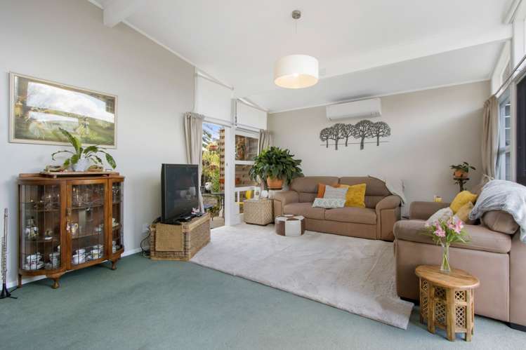 41 Shaw Avenue Paeroa_7