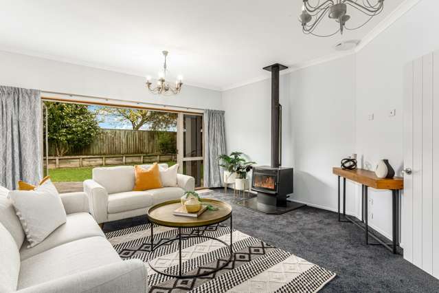 58 Easton Way Levin_1