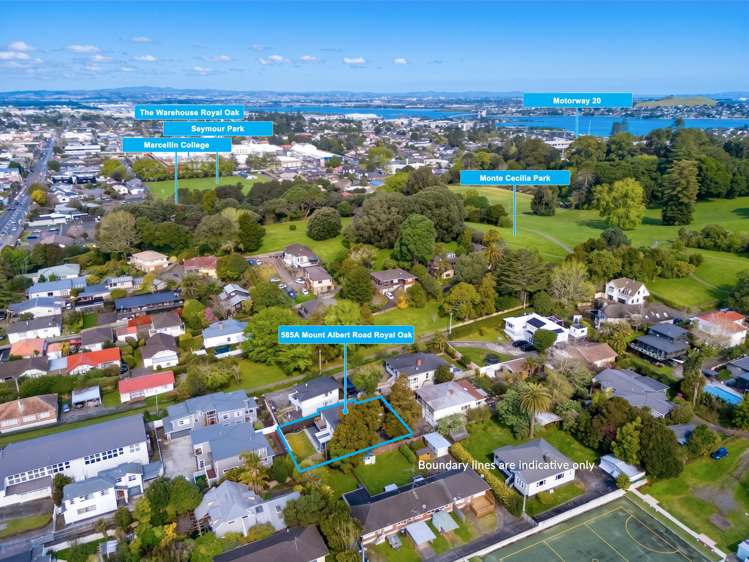585A Mount Albert Road Royal Oak_14