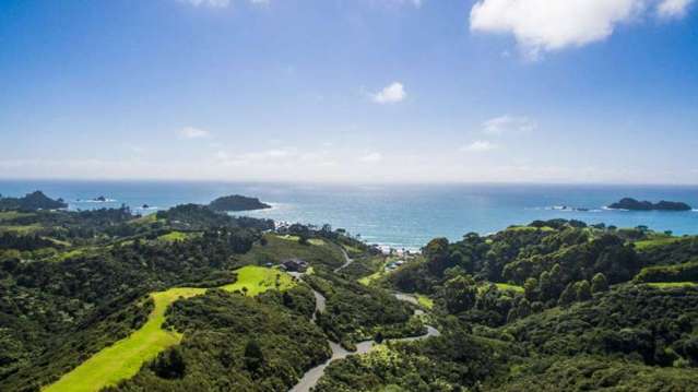 84 Onekainga Rise, Mouresses Bay Whananaki_3