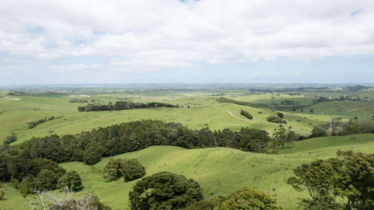 136 Simpkin Road Ruawai_19