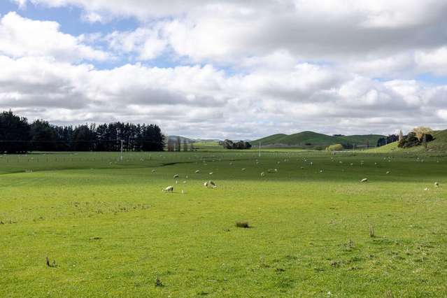 30 Mangahei Road Dannevirke_1