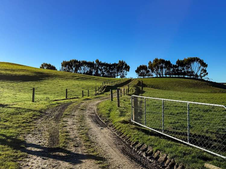 379 Waikaka Road Maitland_17