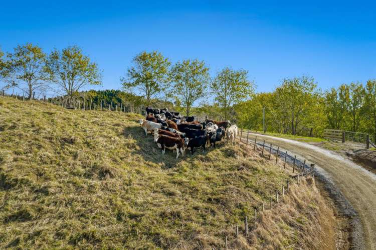 215 Wayby Station Road Wellsford_18