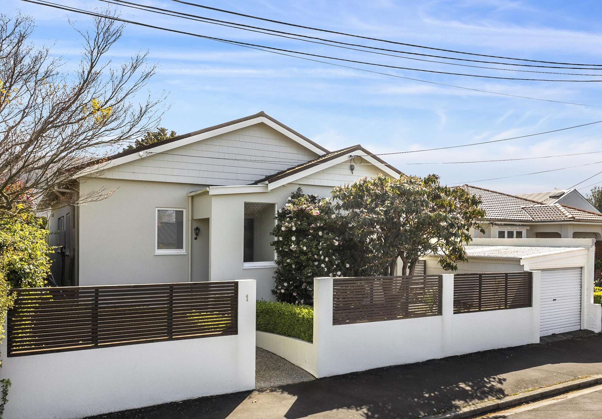 1 Cairnhill Street Maori Hill_0