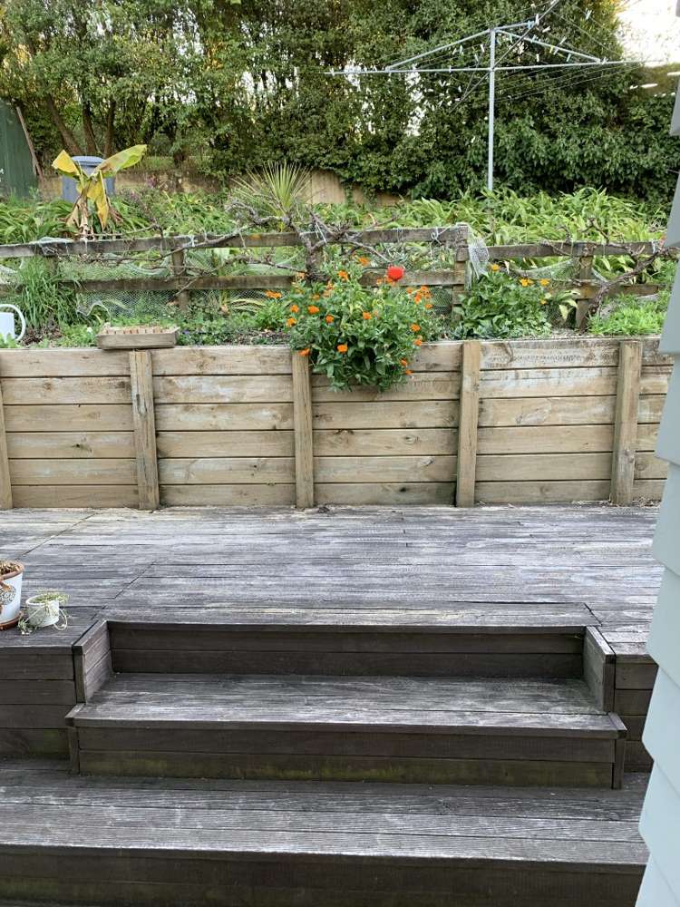 116 Murphy Street Toi Toi_9