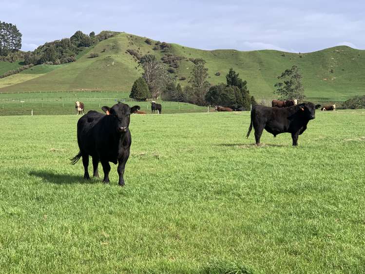 895 Bird Road Stratford_1