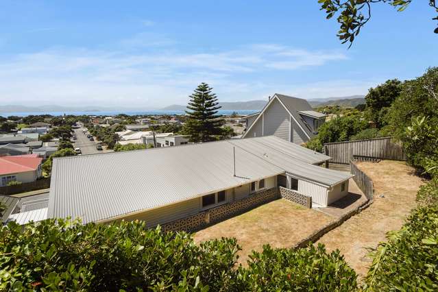 20 Pinnacle Street Seatoun_1