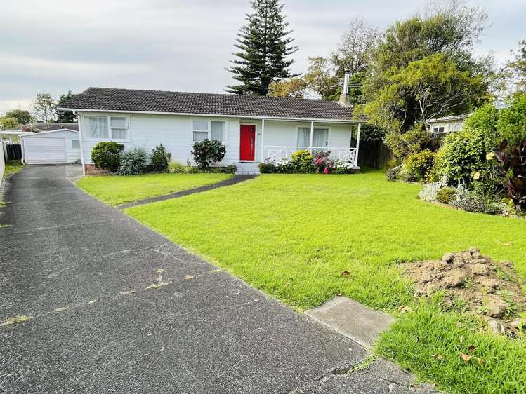 67 Orchard Street Avondale_3