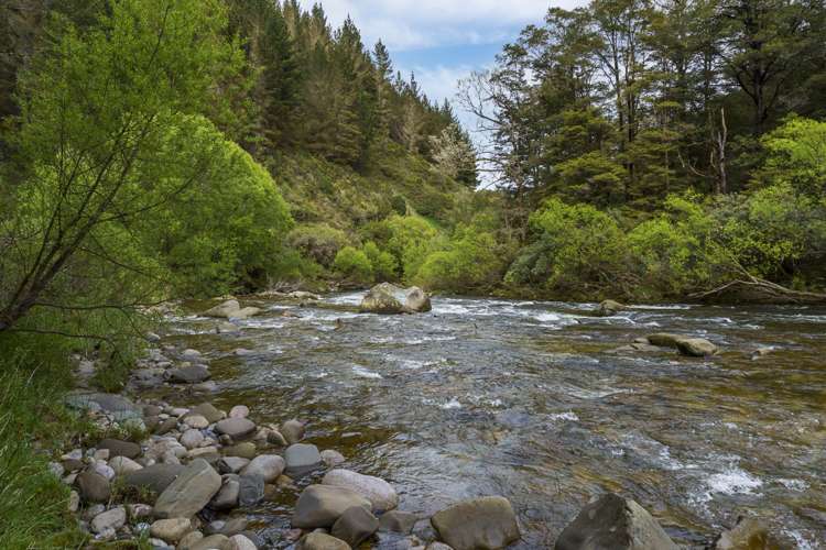 Owen Valley East Road Tasman_5