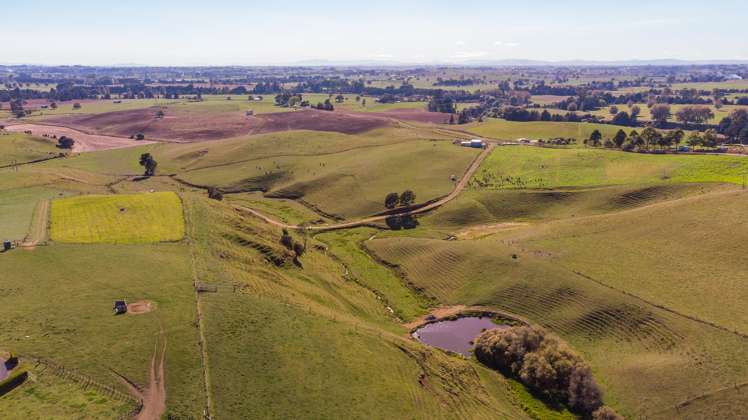 35 Grove Access Road Karamu_47