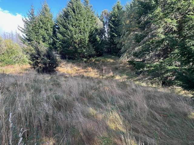 1 Mt Lyford Avenue Lyford_1