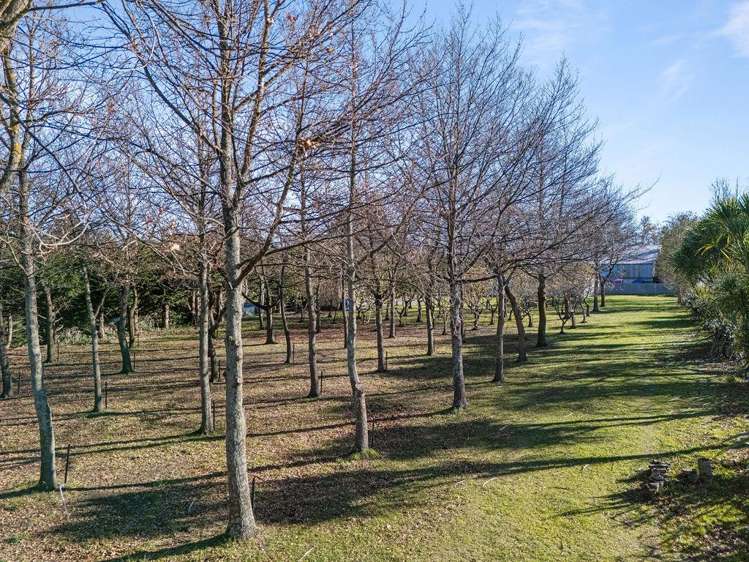 8 Pattons Road Mount Somers_15