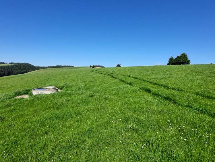 Beggs Track Hillend_3