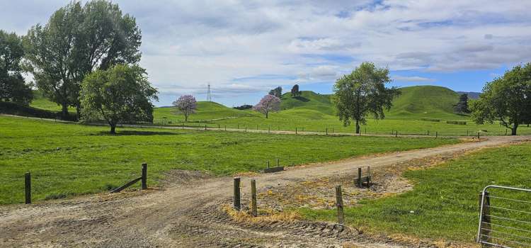 441 State Highway 38 Rerewhakaaitu_21