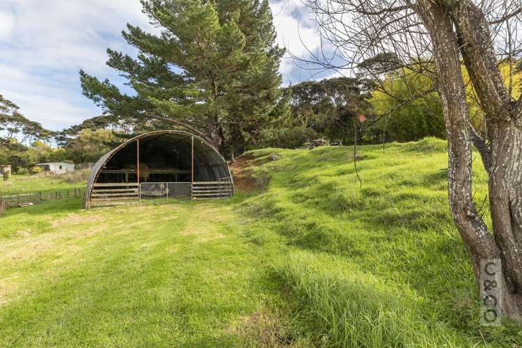 315 School Road Waimauku_12