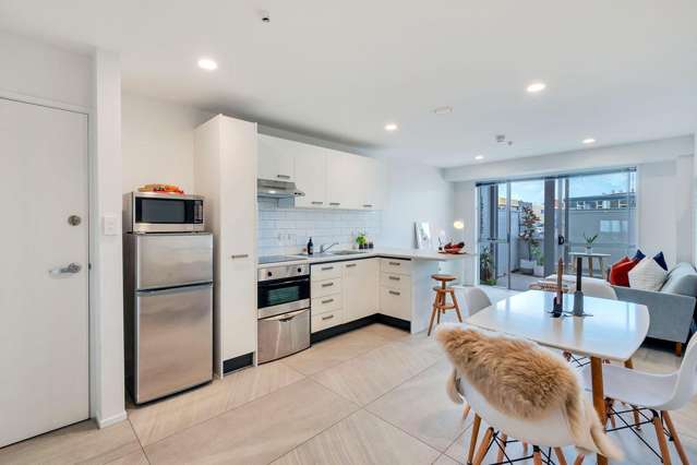 1g/1 Ophir Street Grey Lynn_2