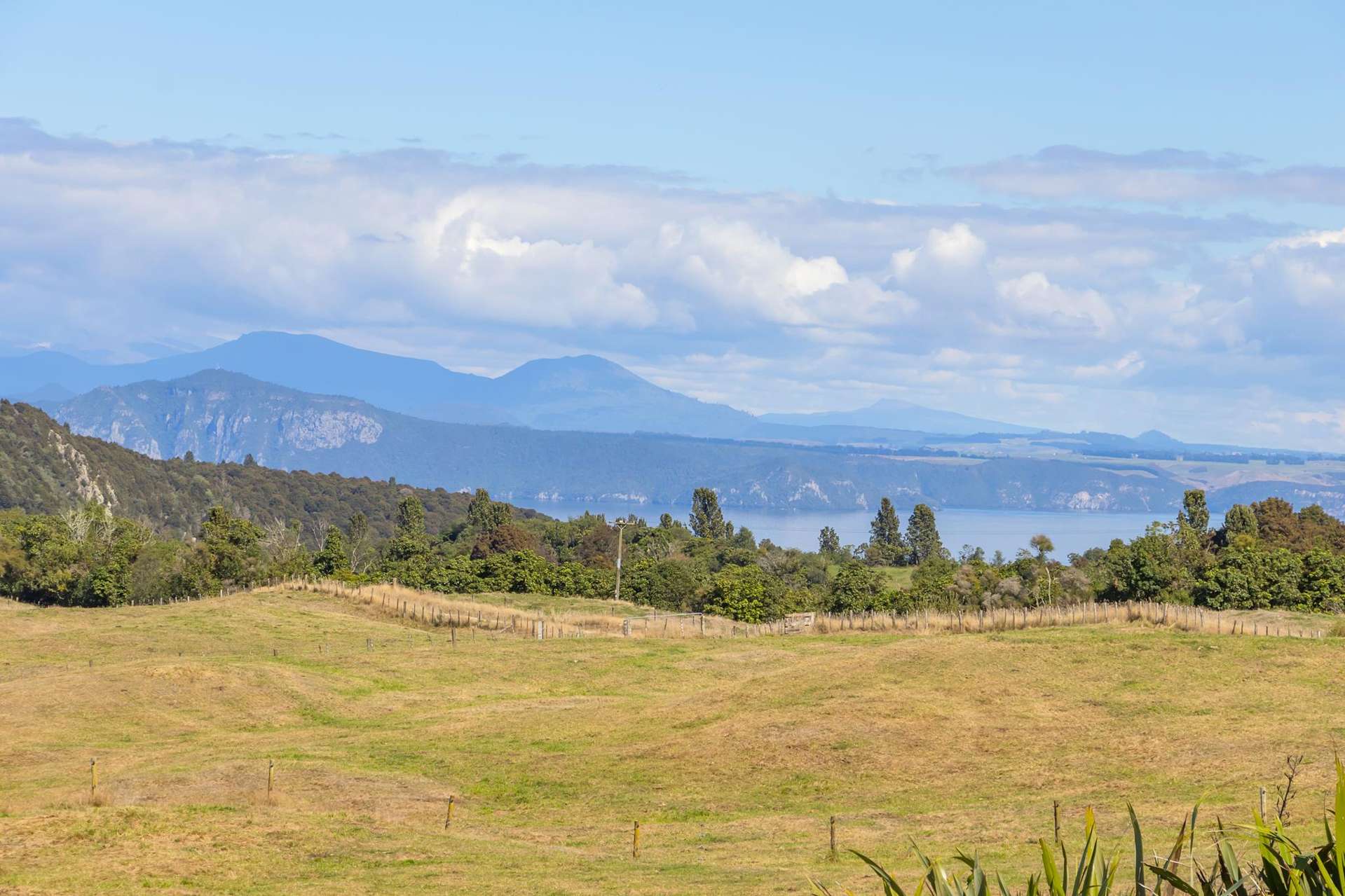 331 Kawakawa Road Lake Taupo_0
