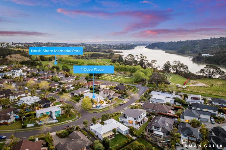 1 Dove Place Schnapper Rock_17