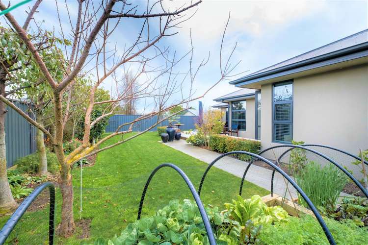 12 Whittaker Place Havelock North_10