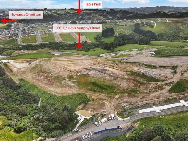 Lot 1/125B Murphys Road Flat Bush_2