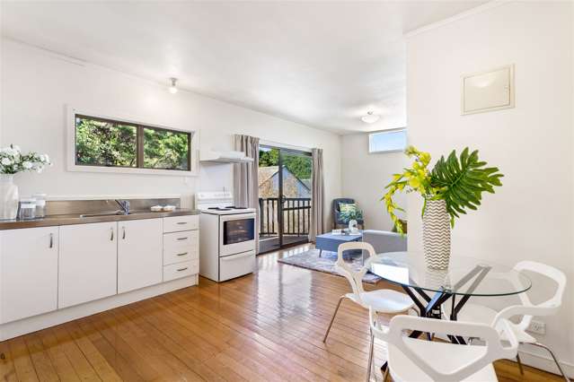 16a Shirley Road Grey Lynn_3