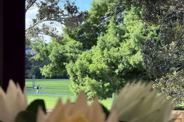 43 Wilsher Crescent Henderson_20