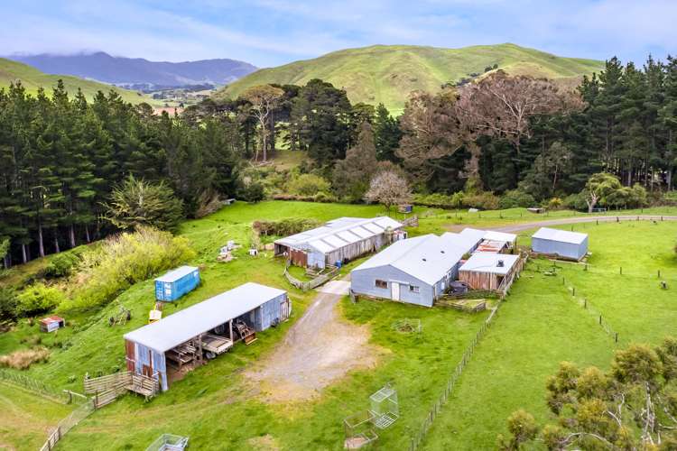 174 Opaki Kaiparoro Road Eketahuna_4