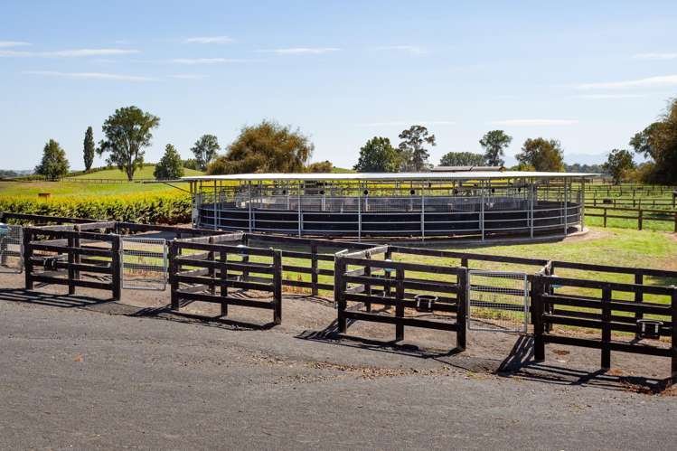 4602A State Highway 29 Matamata_9