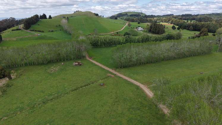 664 Te Pua Road Kaikohe_20