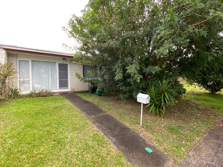 Lush Avenue St Johns_8