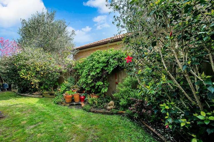 15b Montrose Street Point Chevalier_8