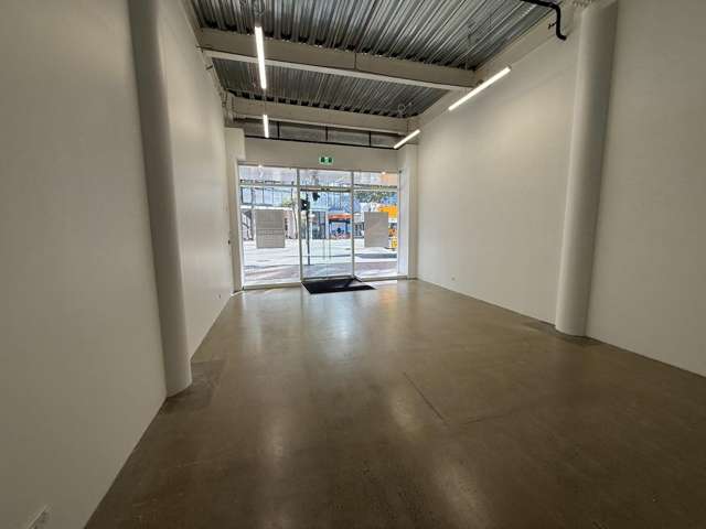 5/115 Victoria Street Te Aro_4