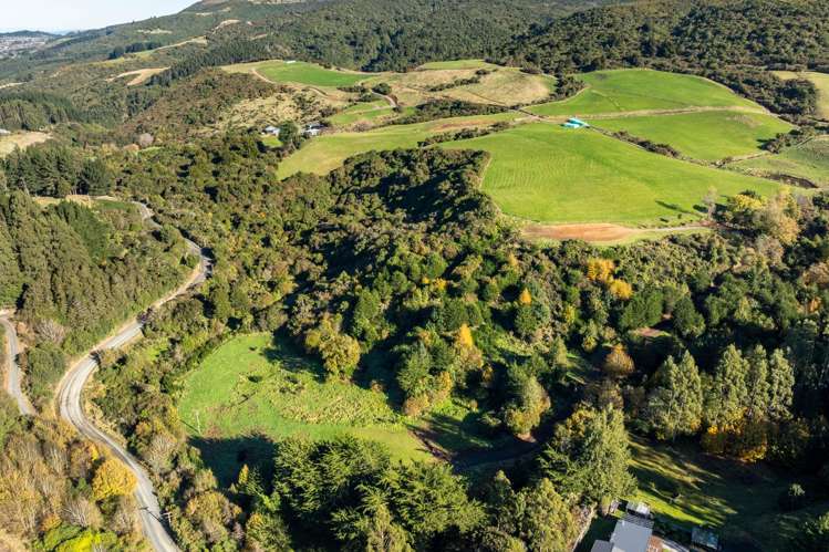 315 Leith Valley Road Leith Valley_20