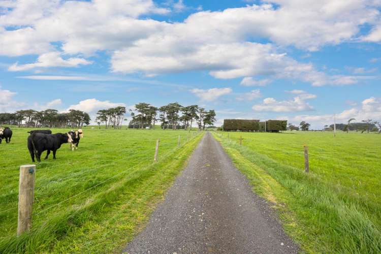 335 Couper Road Glen Oroua_3